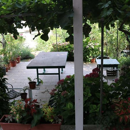Villa Katarina Losinj Island Mali Lošinj Εξωτερικό φωτογραφία