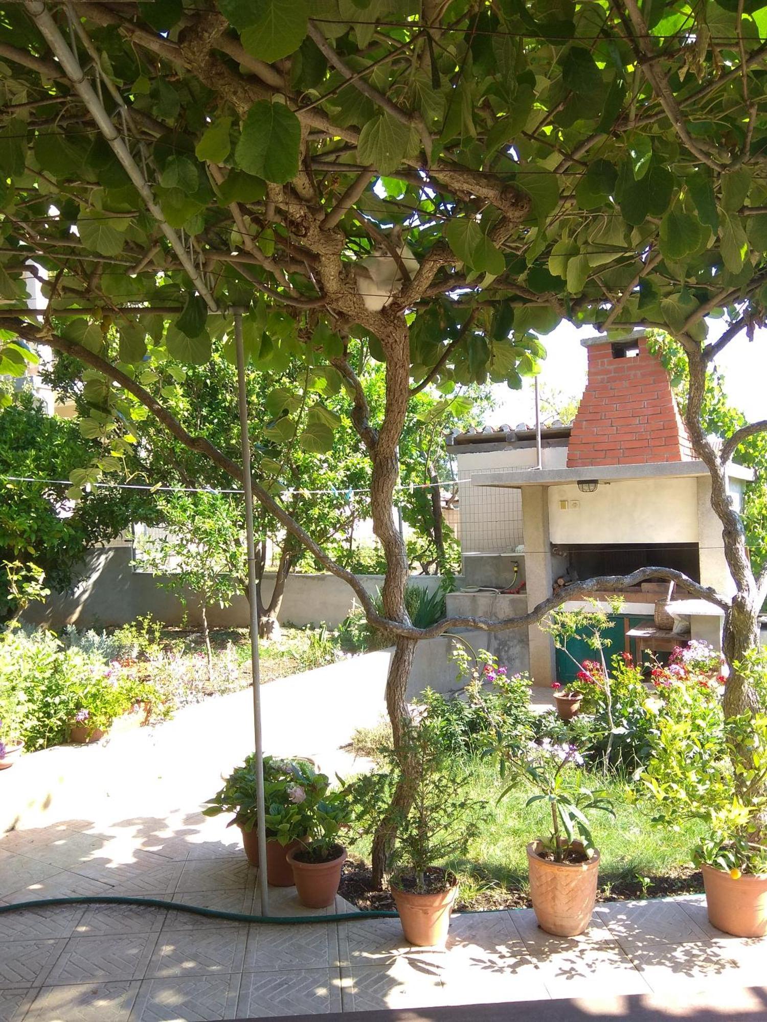 Villa Katarina Losinj Island Mali Lošinj Εξωτερικό φωτογραφία