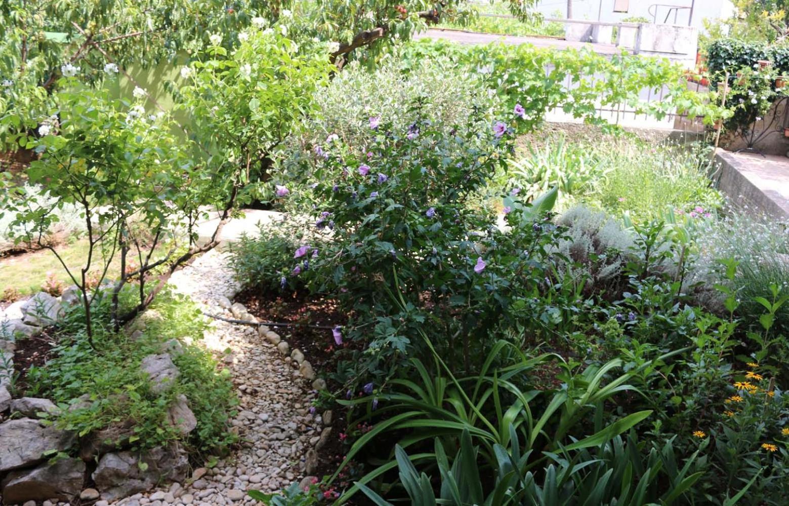 Villa Katarina Losinj Island Mali Lošinj Εξωτερικό φωτογραφία
