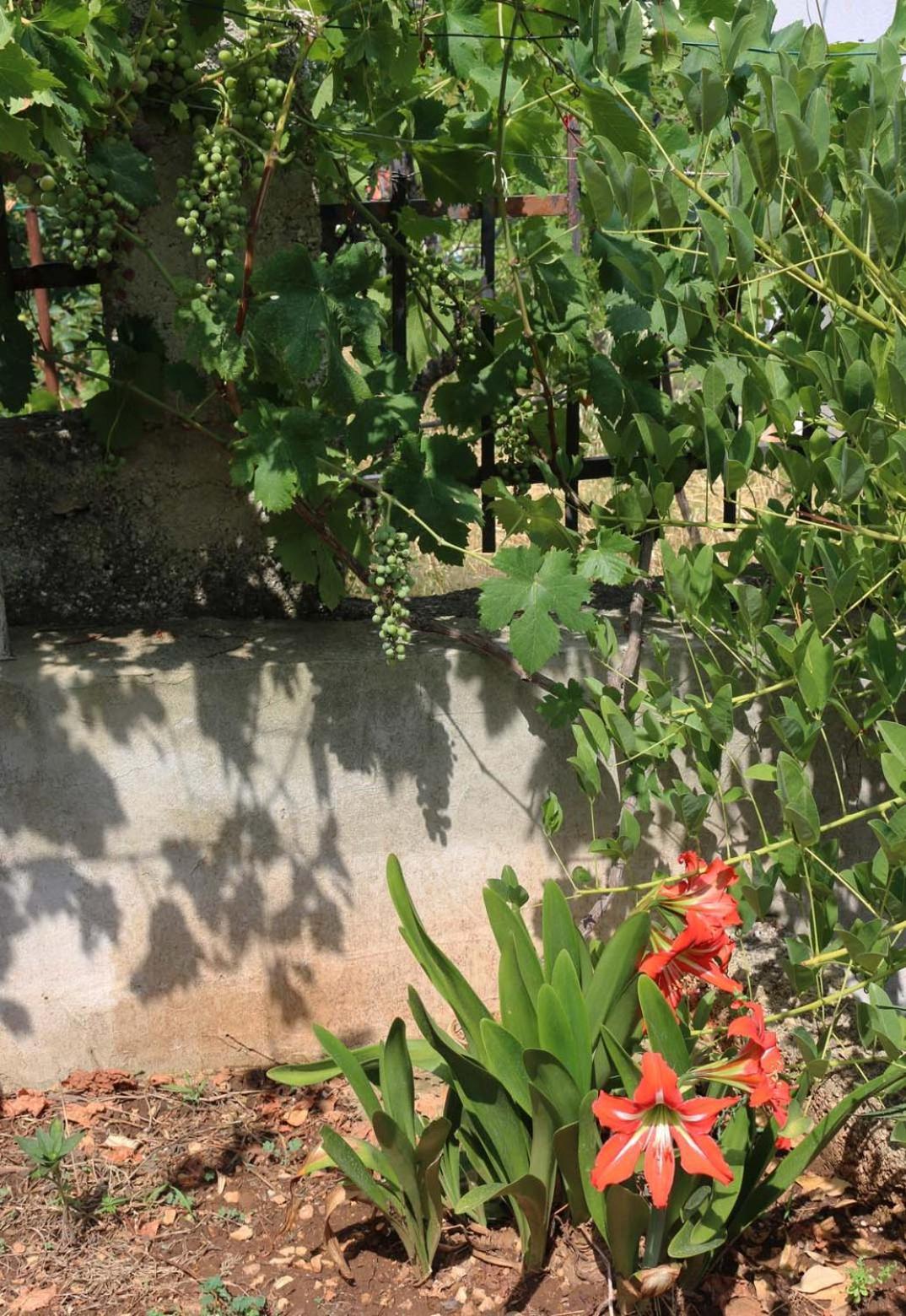 Villa Katarina Losinj Island Mali Lošinj Εξωτερικό φωτογραφία